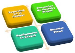 Componentes Calidad de Vida