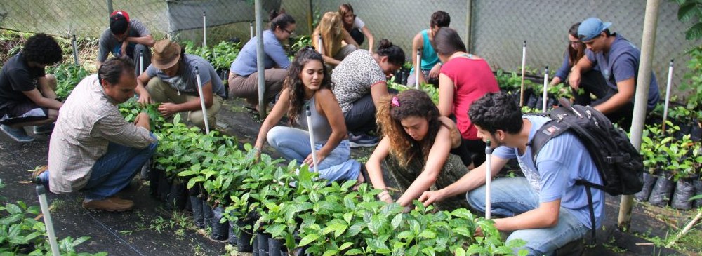 estudiantes-cultivando