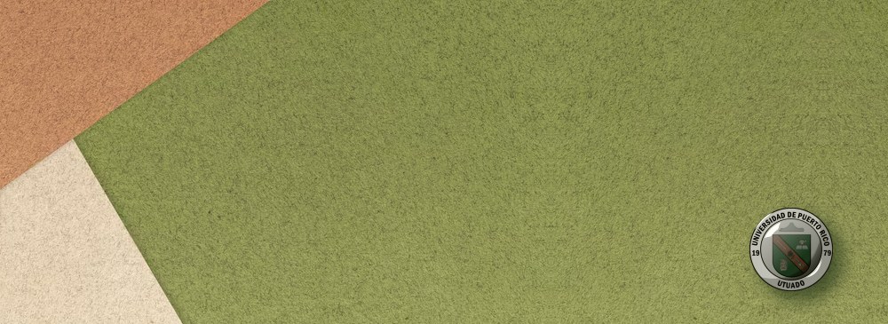 fondo-verde-y-brown