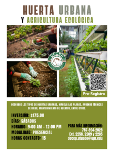 Promocion huerta urbana agricultura ecológica